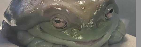 AlisonSpittle Profile Banner