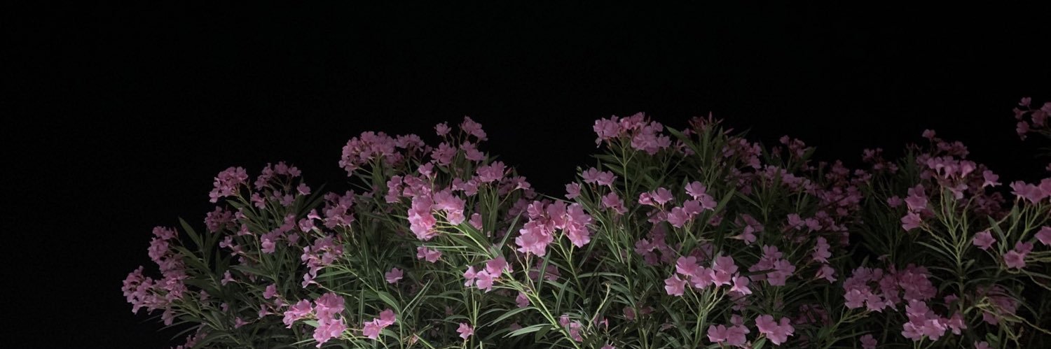 ruvenus45's profile banner image
