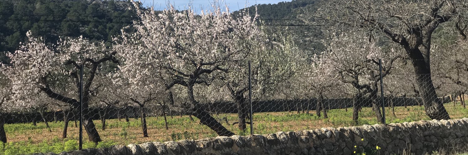 La Wilmot - ComplimentiTraveller banner