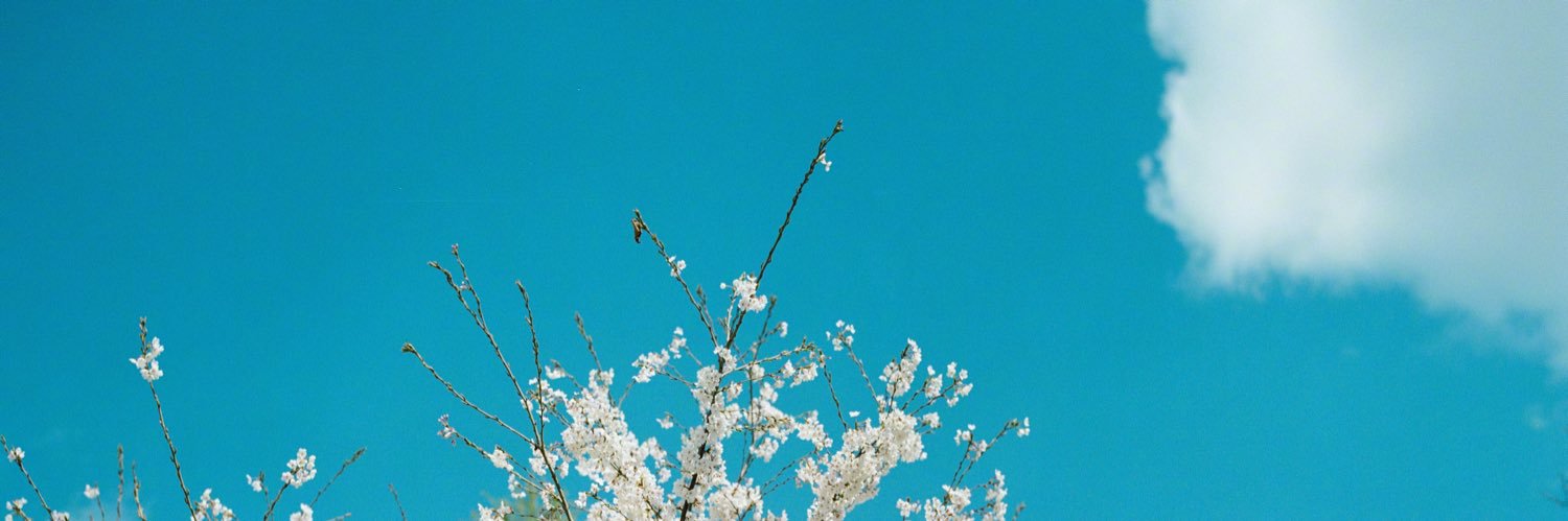 aurantiifolia banner