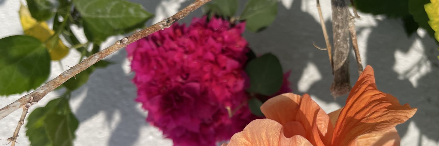 BeatrizRiosPin1's profile banner image