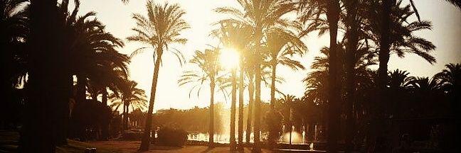 arantxa_carmona's profile banner image