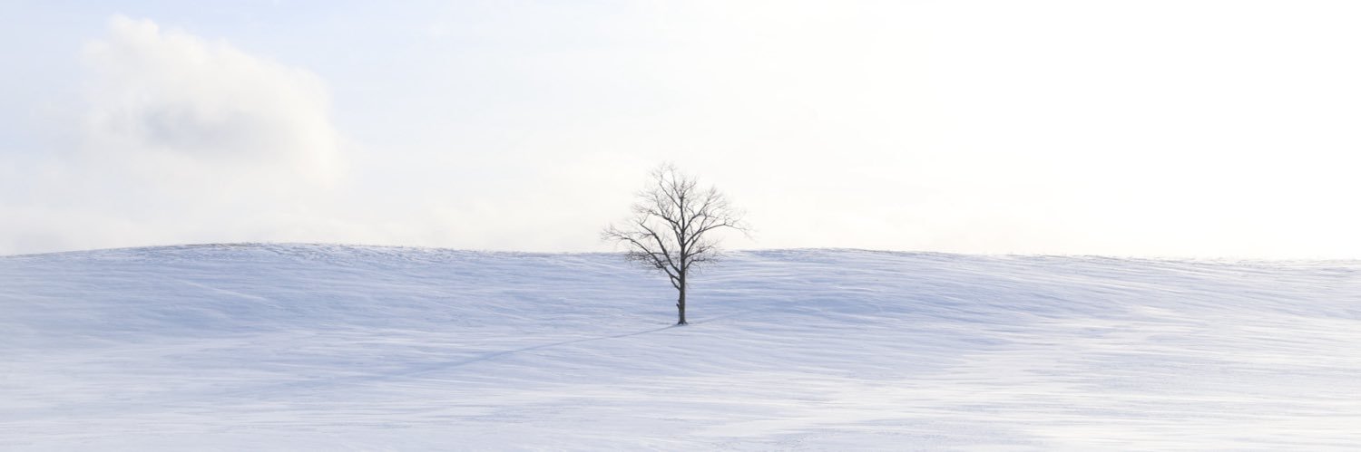 まとしか banner