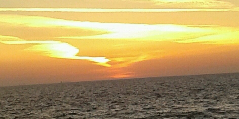 salma_foad's profile banner image