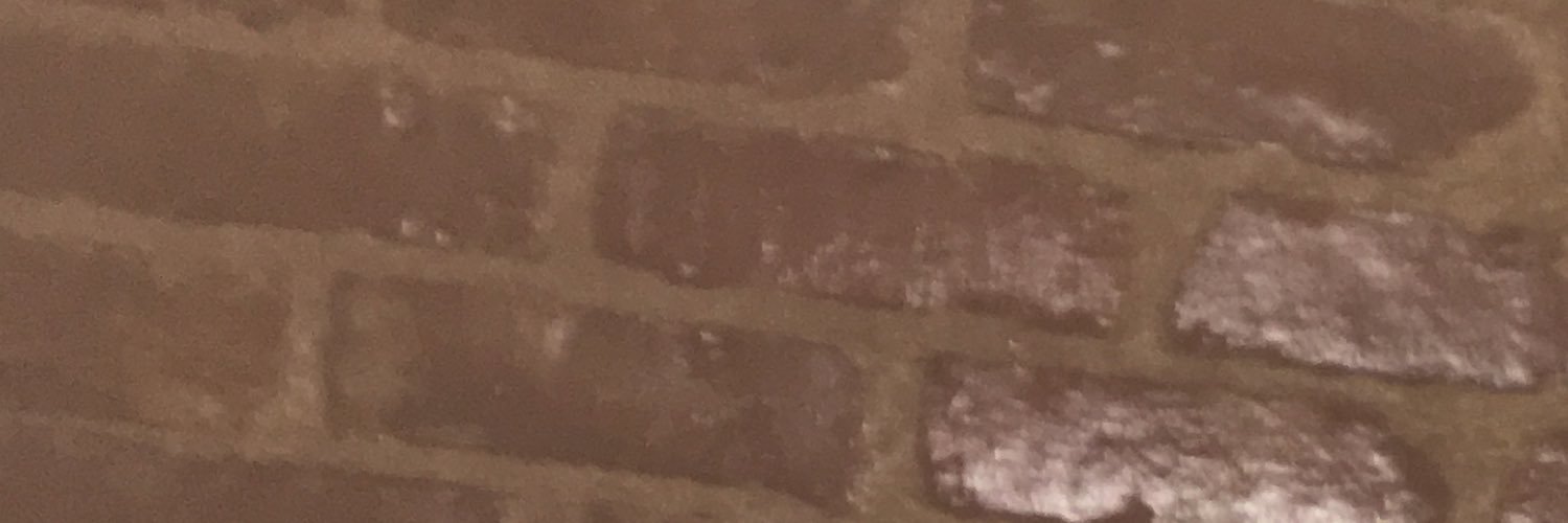 savagesongul's profile banner image