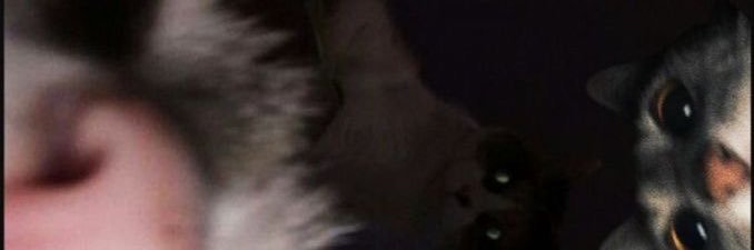 hc06600's profile banner image