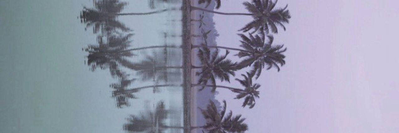 tylerallgdr's profile banner image