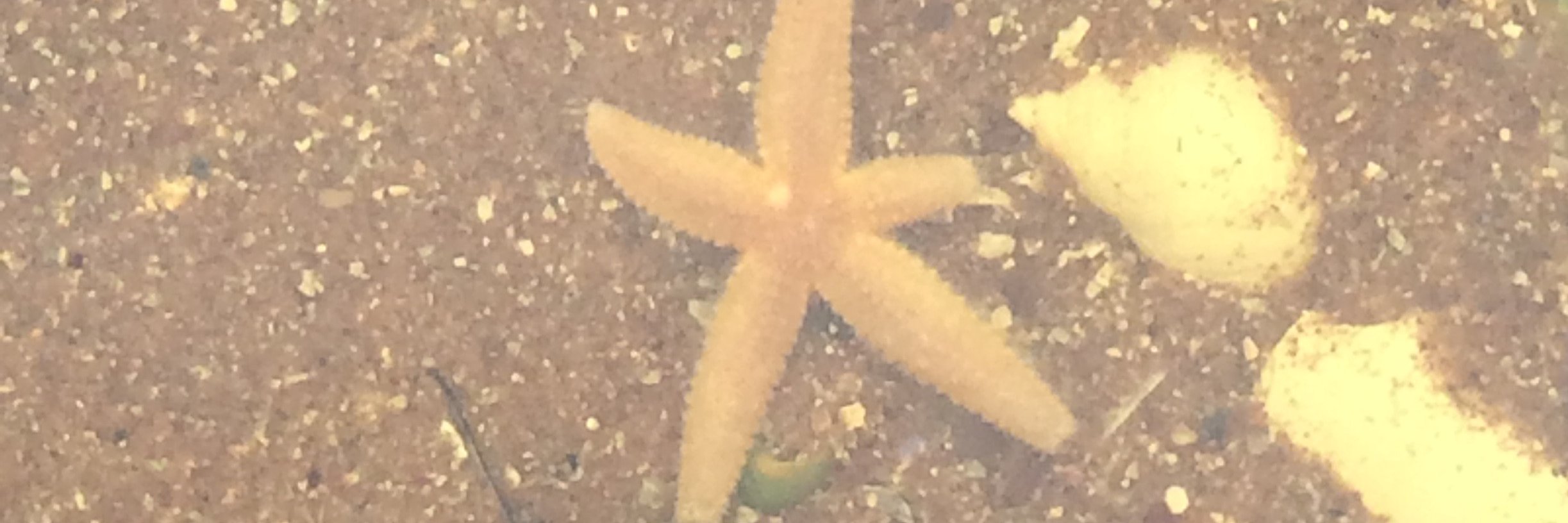 MichaelNDawson banner