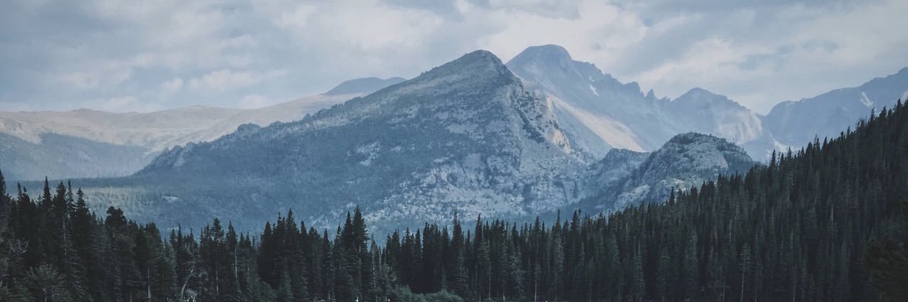 Digital Pedagogy Lab banner