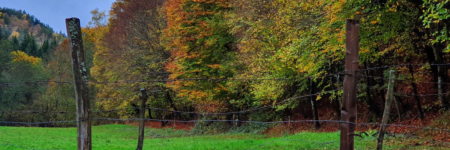 LouisGemarin's profile banner image