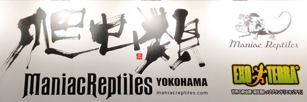 manirepustaff Profile Banner