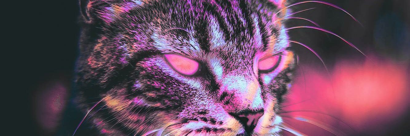 DestradaGh's profile banner image