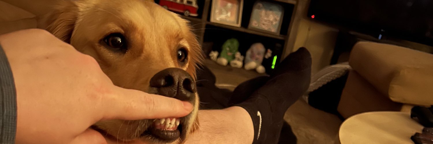 robbiebrns's profile banner image