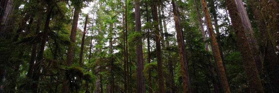 perrydanielle_'s profile banner image