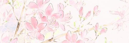 moonpetti's profile banner image