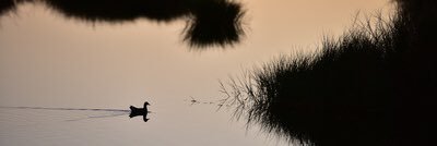 LarryWarino's profile banner image