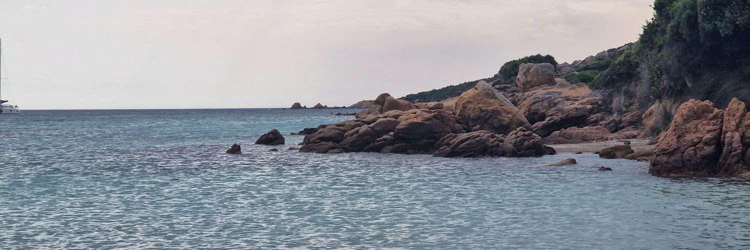 LilllaRose's profile banner image