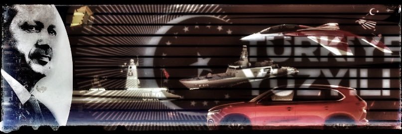 Aysegül H. TÜRKER banner