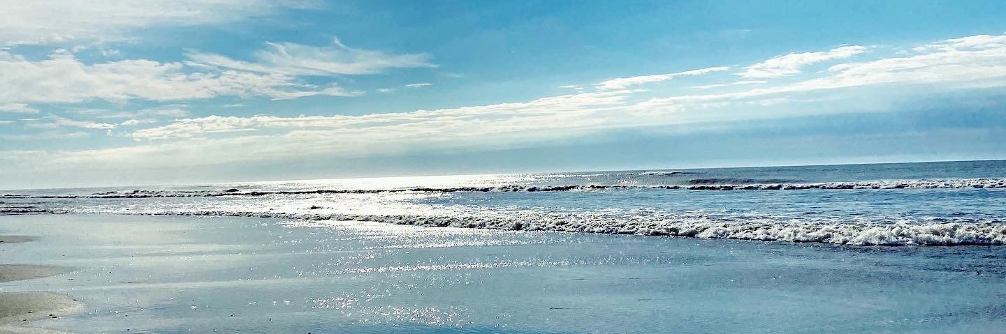 hollyinca's profile banner image