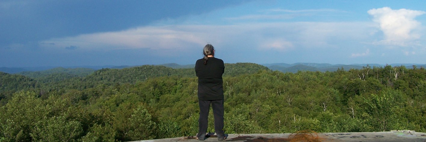 NorthernWolfQc's profile banner image