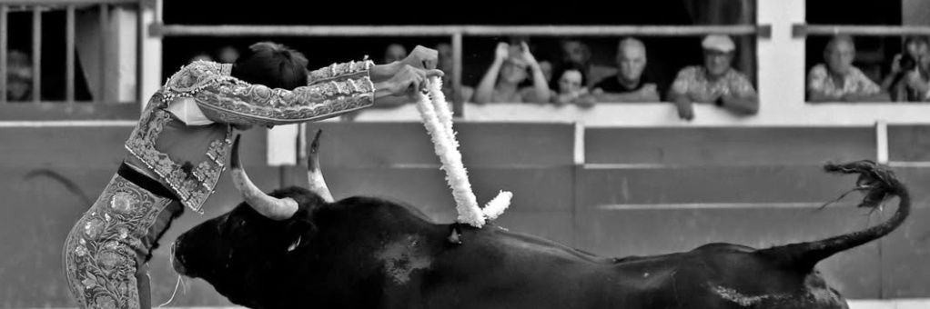 Solal Calmet “Solalito” banner