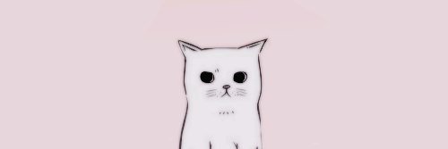 AnaJuliaAlvim's profile banner image