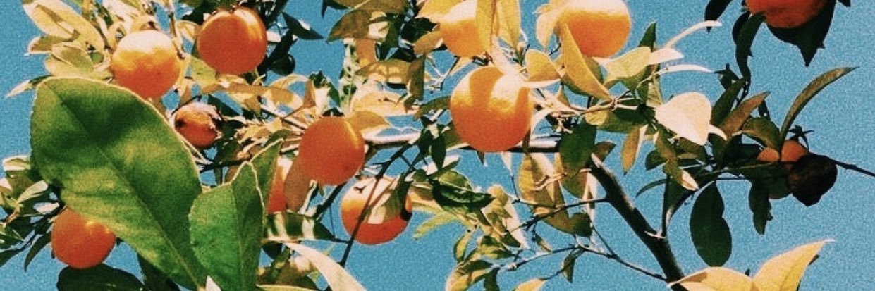 annaohlinn's profile banner image