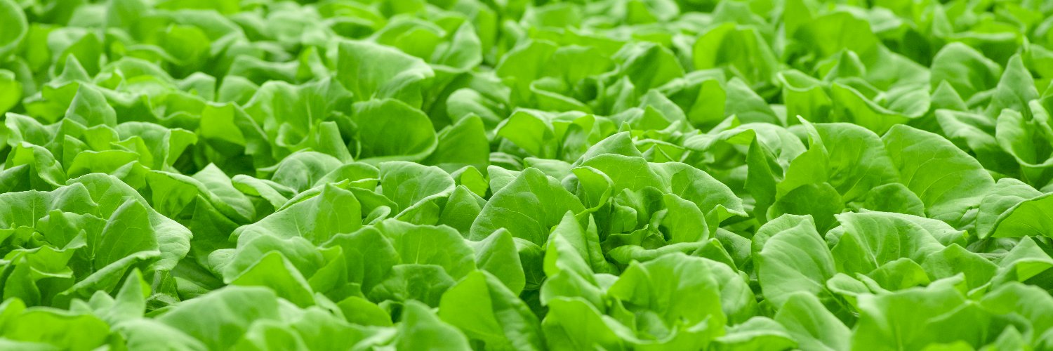 TrueHarvest Farms banner