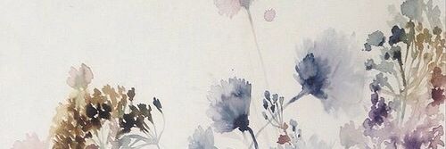 FlorzGomez's profile banner image