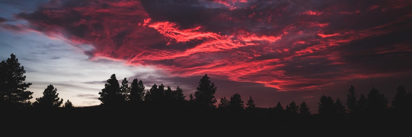 sunsetdub's profile banner image