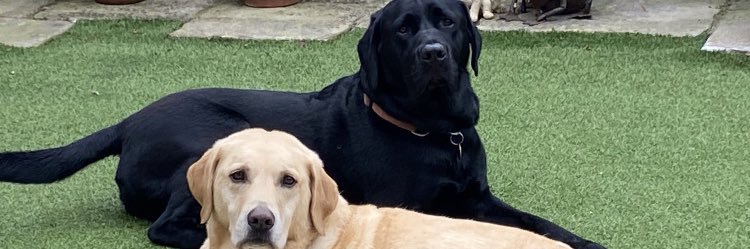 Ben_Williams6's profile banner image