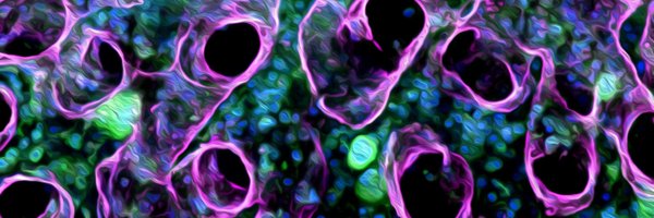 CterminiPhD Profile Banner