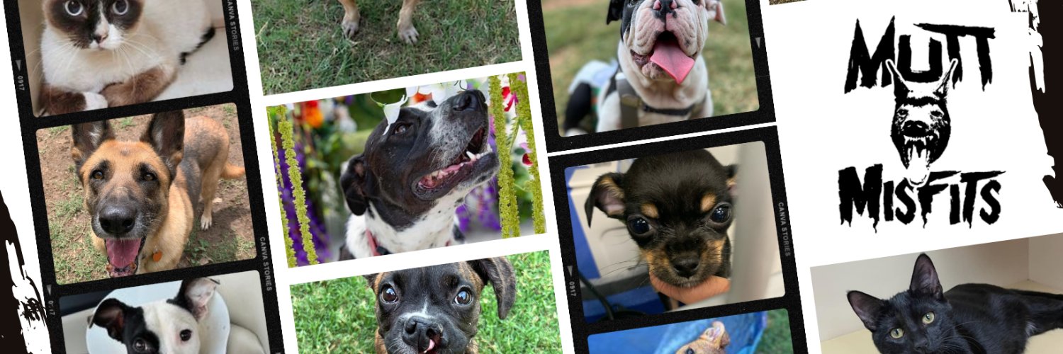 Mutt Misfits banner