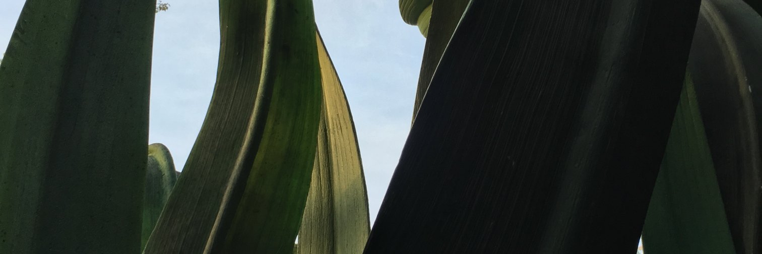 SPECKSYSTEM's profile banner image