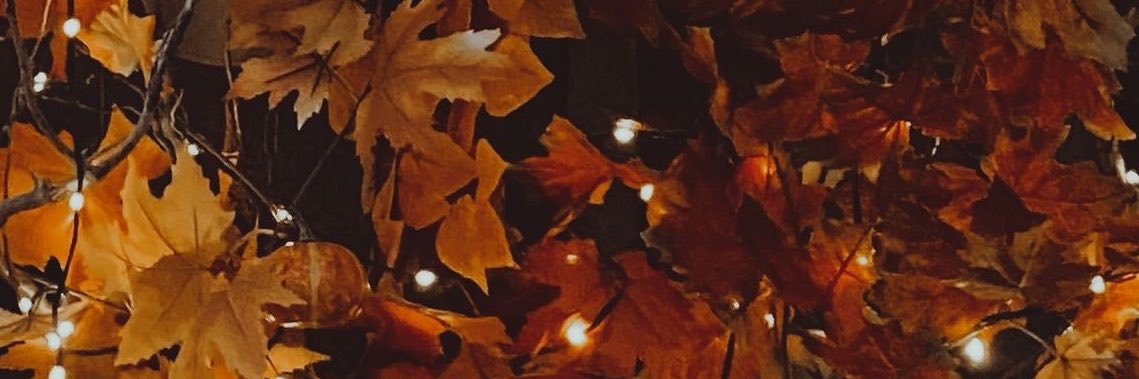 dinofphan's profile banner image