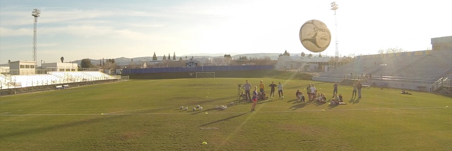 Stephen Hicks banner