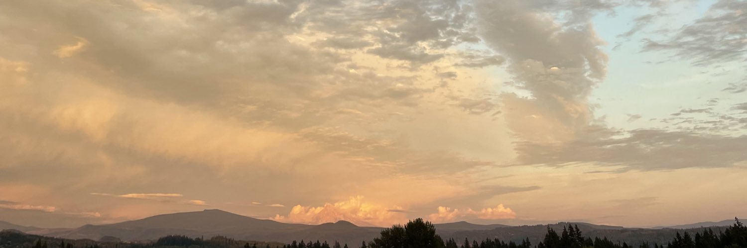erinjaneriley's profile banner image