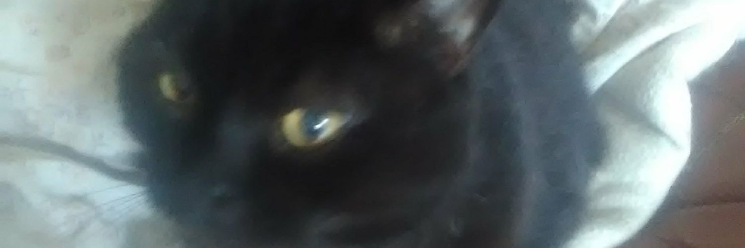 desio_Gon's profile banner image