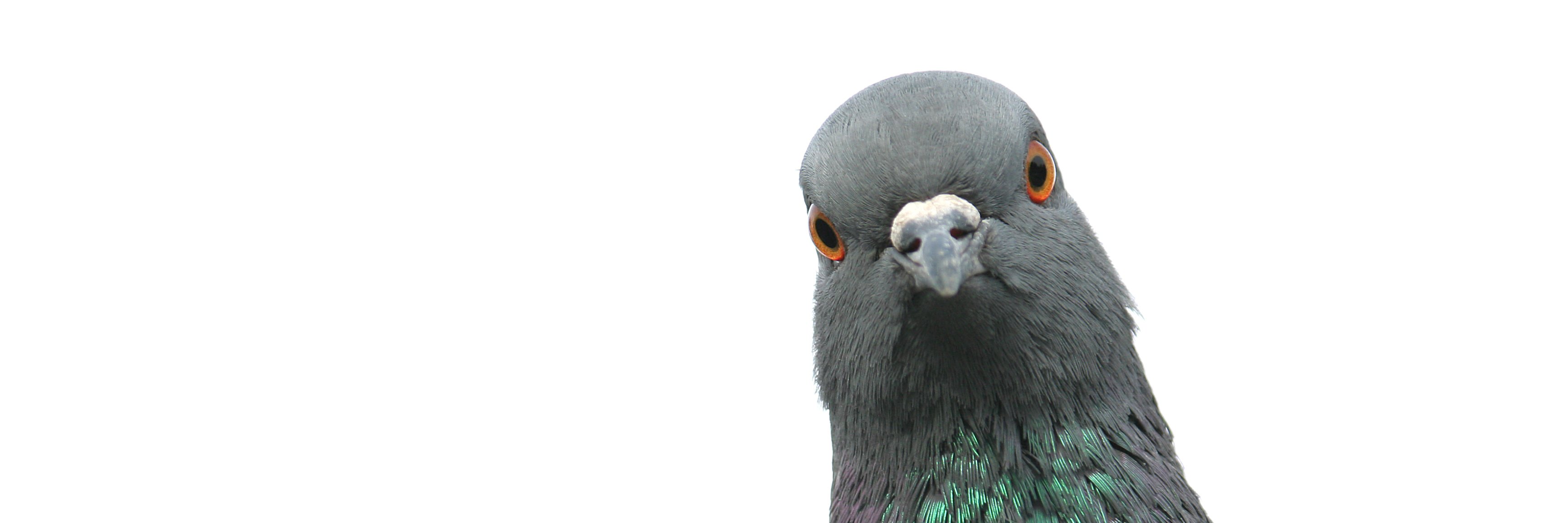accordingtotgc's profile banner image