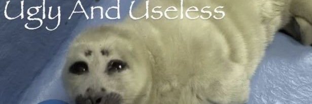 jesssszssszsssssssssss banner