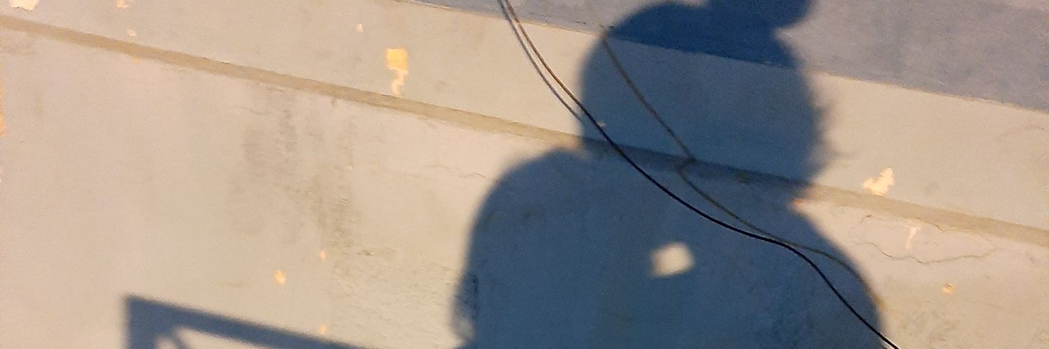 Sasecoks's profile banner image