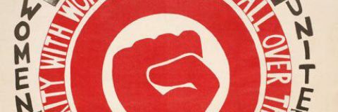 Suricatta98's profile banner image