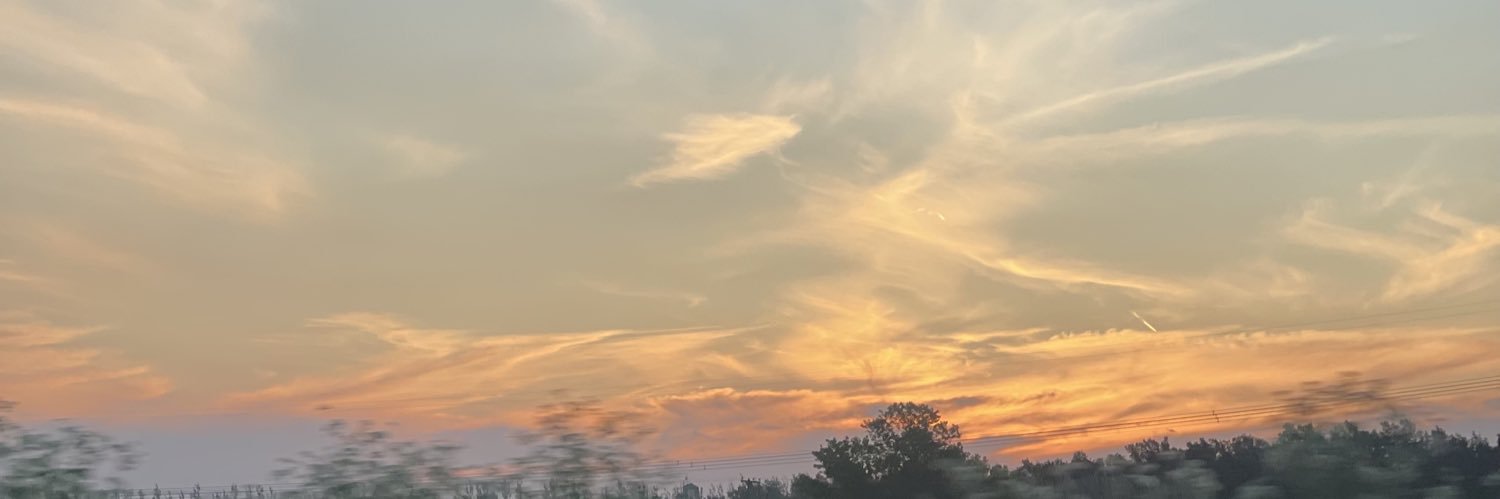 SofiaBeely's profile banner image