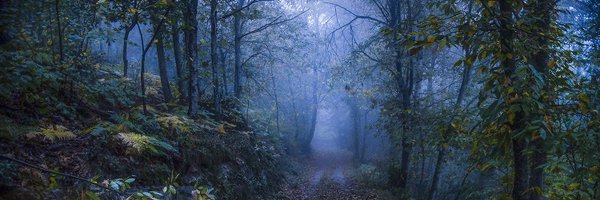 mothicafairy Profile Banner