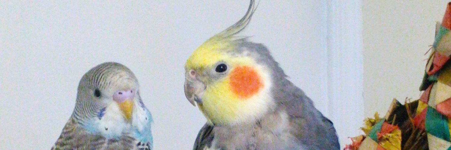 MHughes_'s profile banner image