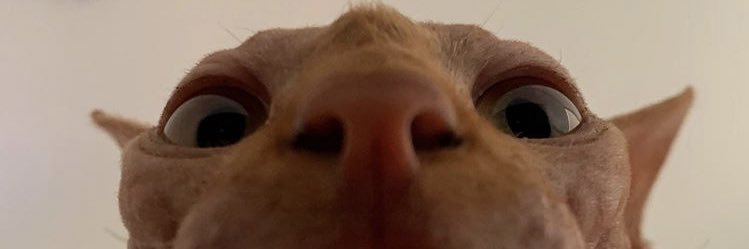 🔌 banner