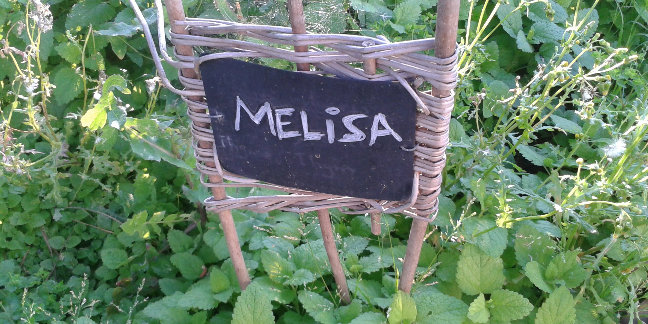 Tomàs Basaurit banner