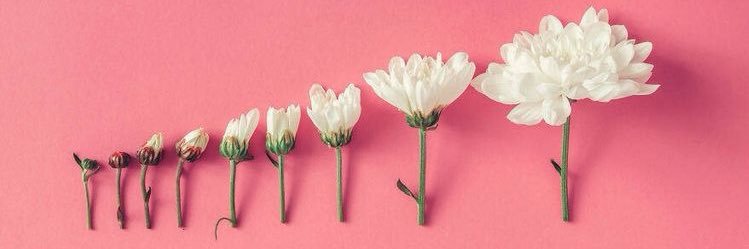 adelsayhello's profile banner image