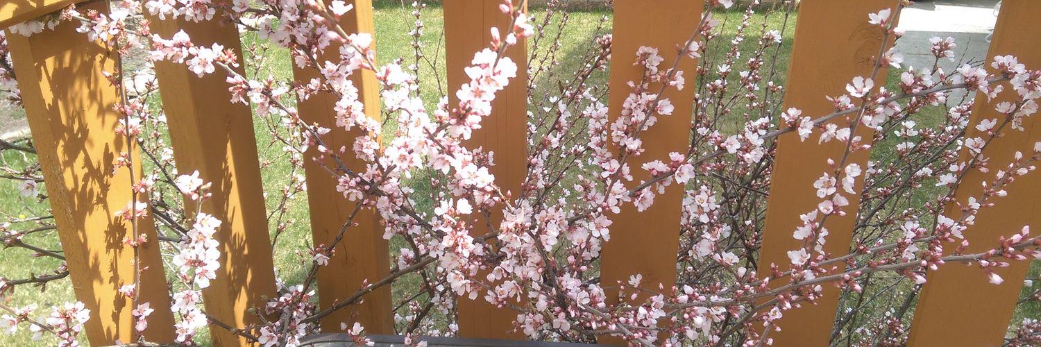 leanne_wu's profile banner image