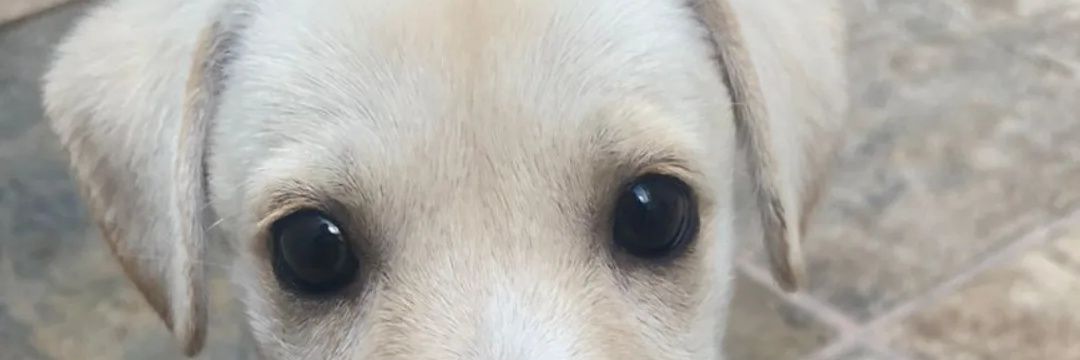 equissoyfers's profile banner image